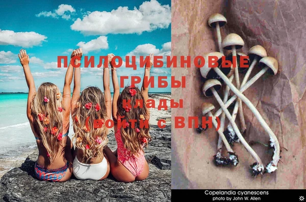 тгк Балабаново