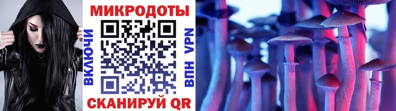 Псилоцибиновые грибы прущие грибы  Таруса 